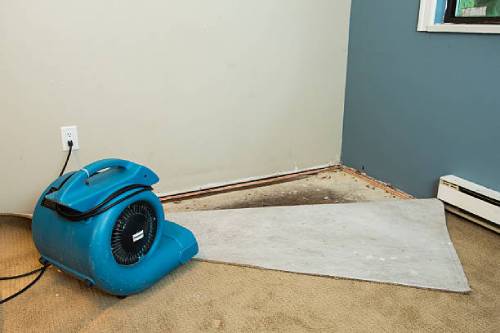 Professional water damage restoration