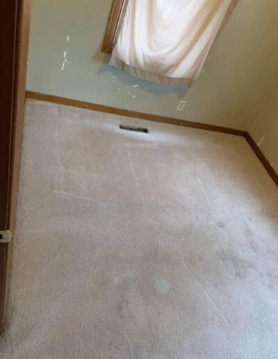 Carpet Cleaning Services After