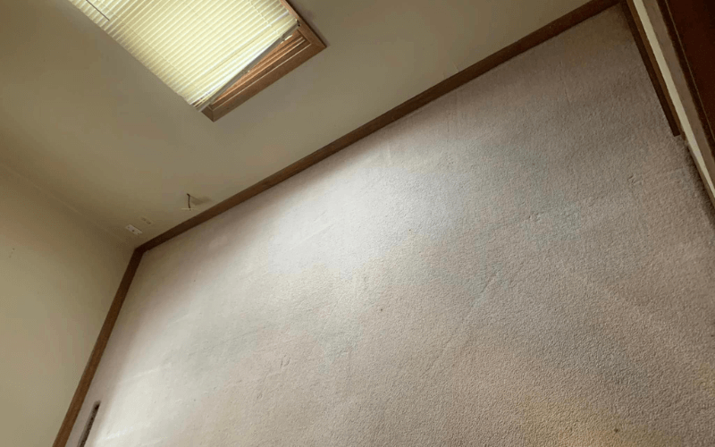 Most Common Carpet Cleaning Mistakes To Avoid