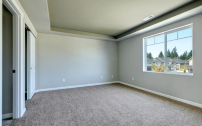 Benefits Of Regular Carpet Cleaning In Newton, IA