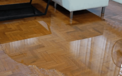 How to Choose a Water Damage Restoration Company?