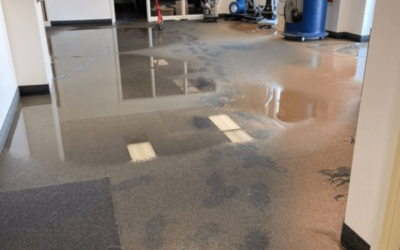Essential Water Damage Prevention Tips