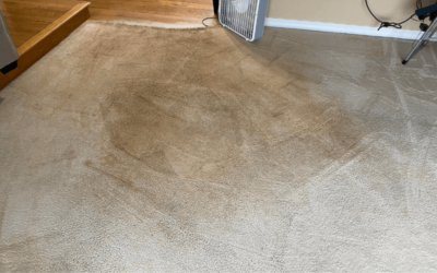 Sticky Carpet After Cleaning: Causes and Fixes