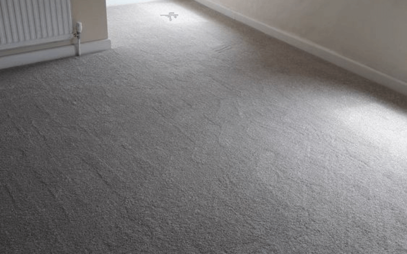 Factors That Affect Carpet Cleaning Costs In Newton, IA