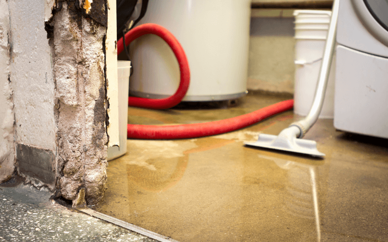 How to Choose the Right Water Damage Restoration Company?