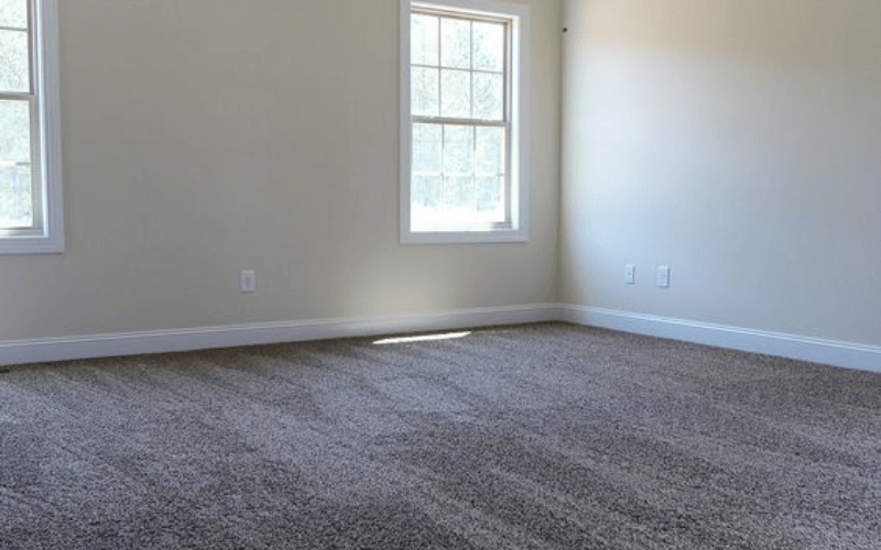 What Are The Signs That Your Carpet Needs Professional Cleaning?