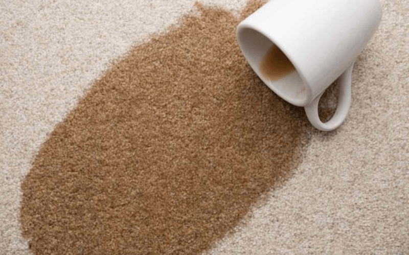 How To Remove Coffee Stains From The Carpet?